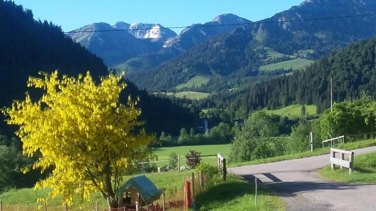 Ferienhof Ammann Villa Bad Hindelang Dış mekan fotoğraf