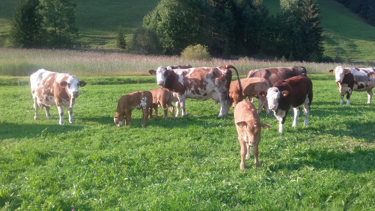 Ferienhof Ammann Bad Hindelang Dış mekan fotoğraf