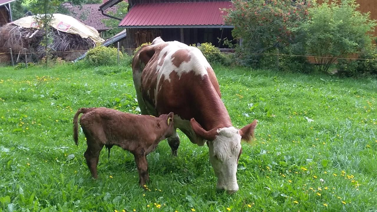 Ferienhof Ammann Bad Hindelang Dış mekan fotoğraf